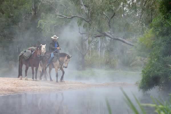 Cuanto peso puede llevar un caballo?